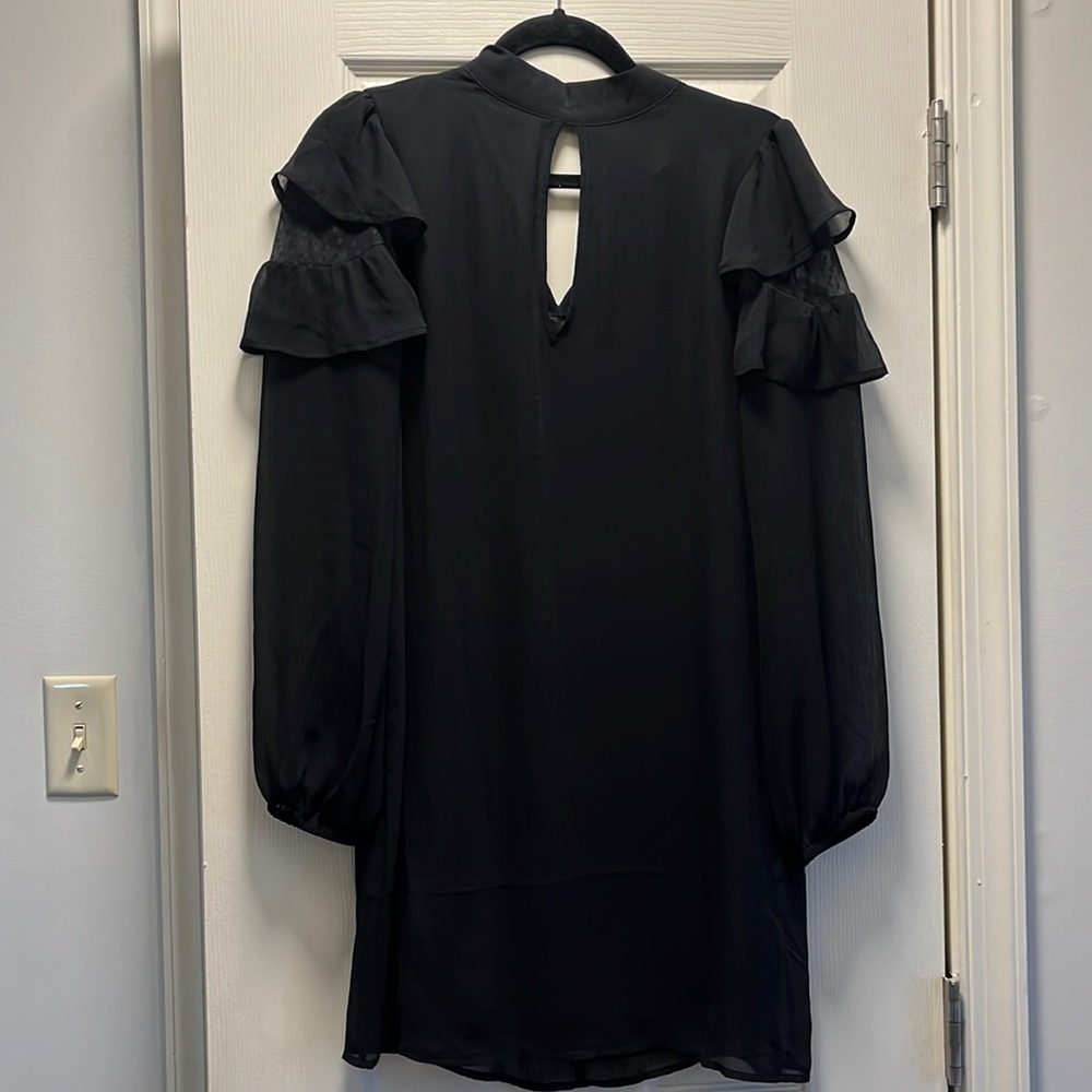 Express long sleeve chiffon like shift dress